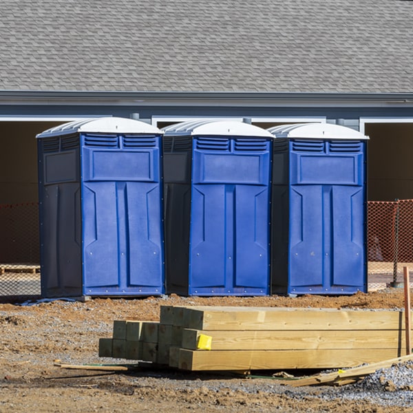 can i customize the exterior of the portable restrooms with my event logo or branding in Big Arm